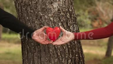 一对年轻夫妇在公园的一棵树前举起一颗心